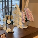 洋食 ツバキ亭 - 