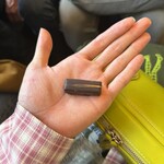 Elisabeth - カルダモン