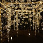 薪窯Pizza ピッチュ - 