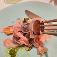MOTORA  - 