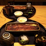 うなぎ四代目菊川 なんばセントラルイータリー店 - 