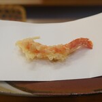 天ぷら 車 - 車えび半生