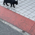 RECORD BURGER&BAR - 写真慣れて小洒落てる