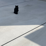 RECORD BURGER&BAR - 幸運の黒猫