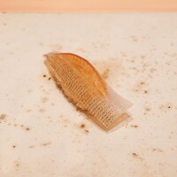 鮨 龍次郎 - かすご