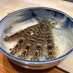 日本料理 別府 廣門 - 