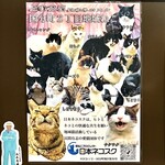 中華マオ - 国分町２丁目地域猫ポスター（右上がウラくん）   
      by 日本ネコスク