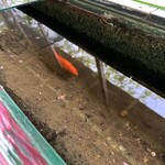沖縄そば 森の家 - 
