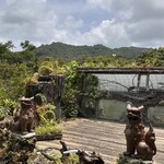 沖縄そば 森の家 - 