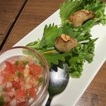 NEO‐SNAPPER　CARNAVAL - 