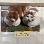 バリアフリーキッチン ミックとジム - 