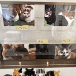 バリアフリーキッチン ミックとジム - 