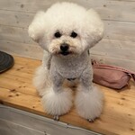 サッカバッカ - 可愛いなぁ～