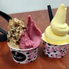 ジェラートトリノ 喜ね舎店