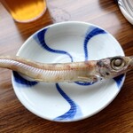 天橋立市場食堂街 - 