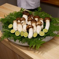 柚木元 - 