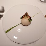 レフェルヴェソンス - 