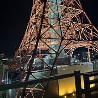 ワカヌイ グリル ダイニング バー 東京 - 