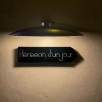 Hérisson d'un jour - 