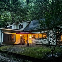 Hérisson d'un jour - 