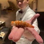 2nd EDITION TERUZUSHI - 