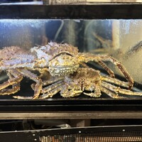 かに道楽 横浜店 - 
