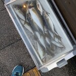 やきとり割烹花夏彩 - 