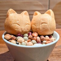 恵比寿ビストロ 猫も杓子も - 