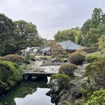 桜梅桃李 - 