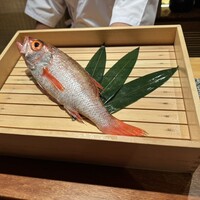 のどぐろ専門 銀座中俣 極 - 