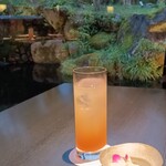 一游 - 梅酒完熟にごり