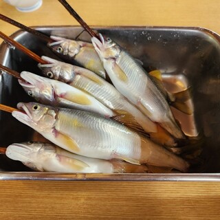 板取川 洞戸観光ヤナ_0