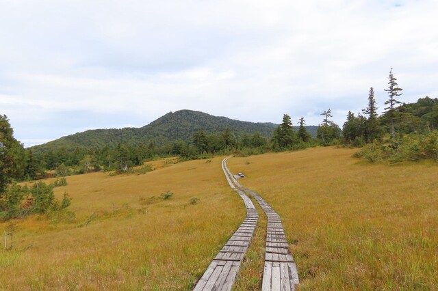 山の駅　御池 - 檜枝岐村その他（カレーうどん）の写真
