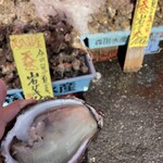 魚売場　森田水産 那珂湊魚市場前 - 
