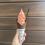 シルスマリア 平塚店 - 生チョコソフトクリーム ブラッドオレンジ