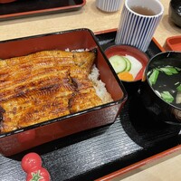 うなぎ割烹 白金台 まつ本 - 