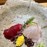 鮨なか乃 - 本マグロ　スジアラ