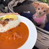 カフェ ミミ - くるみ