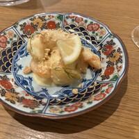 NOGI - 