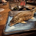 322237581 - ガオ〜