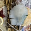 三代目網元　魚鮮水産 シャミネ鳥取店