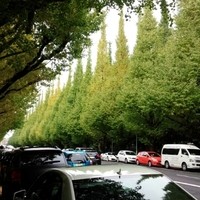 キハチ 青山本店 - 