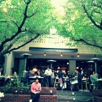 キハチ 青山本店 - 