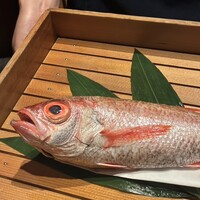 のどぐろ専門 銀座中俣 はなれ - 