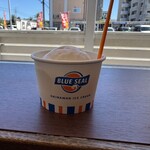 ブルーシール - 