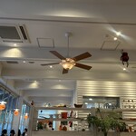 エッグスンシングス - 