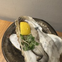 すき焼きと牛まぶし ももしき - 