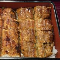 鰻 北白川 - 