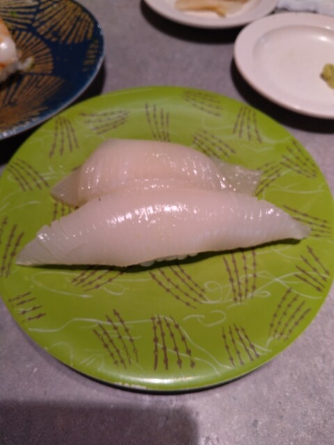 花まる サボテンのキンセイマル 6年目でやっと花が咲いた!昼に蕾だった