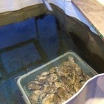 牡蠣小屋 流王 - 